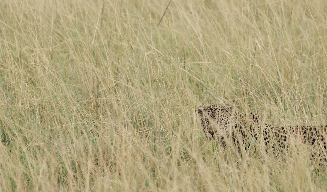 Ololo Safari Lodge Найроби Экстерьер фото