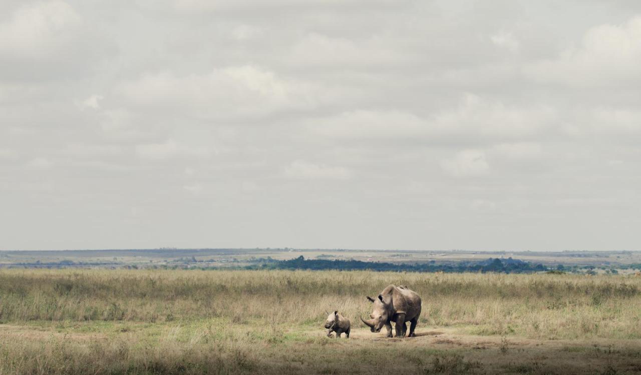 Ololo Safari Lodge Найроби Экстерьер фото
